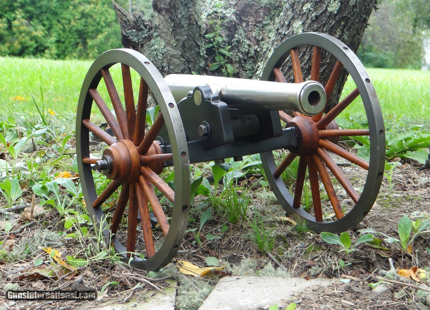 A Very Fine & Impressive Breechloading Signal / Salute Cannon, Field Gun