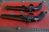 Extraordinary Pair of Antique flintlock "Howdah" pistols - 14 of 14