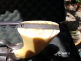 ORIGINAL COLT One Piece Ivory Grips Made In 1880 - 7 of 12