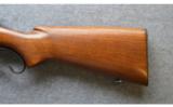 Winchester 71 .348 WCF - 8 of 8