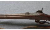 Springfield 1855 US Musket, .58 Cal - 7 of 8