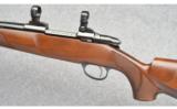 Sako Model 75 Varmint in 22-250 Rem - 4 of 9