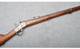 Remington ~ Argentine 1879 - 1 of 9