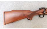 Winchester ~ 70 Sporter Varmint ~ .308 Win. - 2 of 9