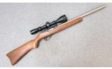 Ruger ~ 10/22 ~ .17 Mach 2 - 1 of 9