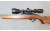 Ruger ~ 10/22 ~ .17 Mach 2 - 8 of 9