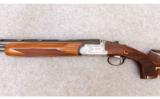 Rizzini ~ Vertex ~ 20 Ga. - 8 of 9