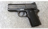 Para Ordnance ~ LDA Carry ~ .45 ACP - 2 of 4