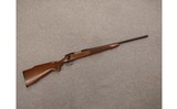 Remington ~ 700 ~ .243 Winchester - 1 of 10