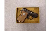 Colt ~ Junior ~ .25 ACP - 3 of 3