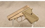 Intratec ~ Protec 25 ~ .25 ACP - 2 of 2