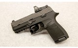 SIG Sauer ~ P320 ~ 9 mm - 2 of 2