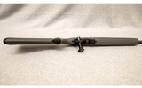 Remington ~ Model 597 ~ .22 LR - 10 of 10
