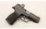 SIG Sauer ~ P365 XL ~ 9 mm - 1 of 2