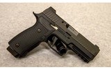 SIG Sauer ~ P320 AXG Carry ~ 9 mm - 1 of 3