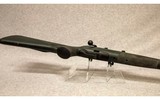 Blaser ~ R8 Professional Success ~ .308 Win - 10 of 10