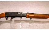 Remington ~ 572 Fieldmaster ~ .22 S, L ,LR - 3 of 10