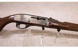 Remington ~ Nylon 66 Autoloader ~ .22 LR - 3 of 10