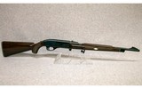 Remington ~ Nylon 66 Autoloader ~ .22 LR - 1 of 10