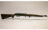 Remington ~ Nylon 66 Autoloader ~ .22 LR - 1 of 10