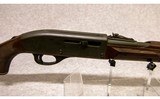 Remington ~ Nylon 66 Autoloader ~ .22 LR - 3 of 10