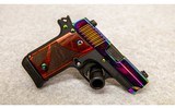SIG Sauer ~ P238 Rainbow ~ .380 ACP - 1 of 2