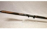 Henry ~ Long Ranger ~ .243 Win - 10 of 10