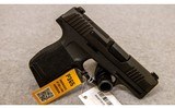 SIG Sauer ~ P365 ~ .380 ACP - 1 of 2