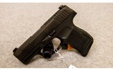 SIG Sauer ~ P365 ~ .380 ACP - 2 of 2