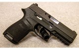 SIG Sauer ~ P320 Carry ~ 9 mm - 1 of 2