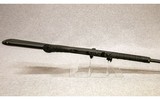 Savage ~ 42 ~ .22/.410 - 10 of 10