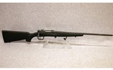 Savage Arms ~ B-Mag ~ .17 WSM - 1 of 10