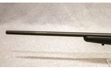 Savage Arms ~ B-Mag ~ .17 WSM - 6 of 10