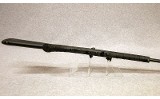 Savage ~ 42 ~ .22/.410 - 10 of 10