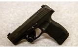 SIG Sauer ~ P365 ~ .380 ACP - 2 of 2