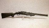 Savage Arms ~ 24F Predator ~ .17 HMR/12 Ga - 1 of 10
