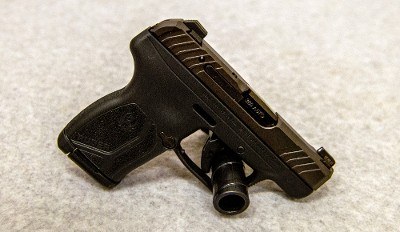 Ruger ~ LCP Max ~ .380 ACP