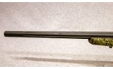 Savage ~ 10 Predator Hunter ~ .223 Rem - 6 of 10