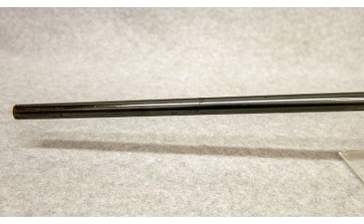 Webley & Scott ~ No. 3 Garden Gun ~ 9 mm Flobert - Image 6 of 10