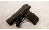 SIG Sauer ~ P365 SAS ~ 9 mm - 2 of 2