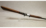 Winchester ~ 9422 XTR ~ .22 LR - 10 of 10