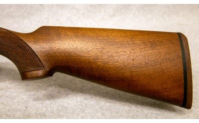 Silma ~ Supreme ~ 12 Ga - Image 8 of 10
