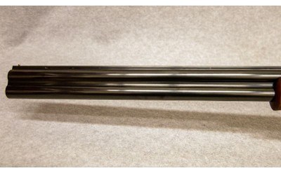 Silma ~ Supreme ~ 12 Ga - Image 6 of 10