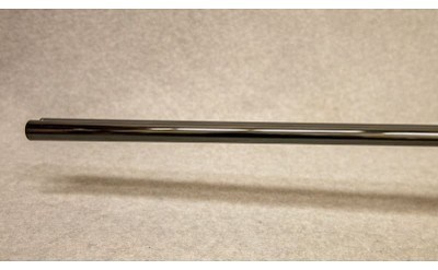 FAIR ~ Iside Prestige ~ 12 Ga 3'' - Image 6 of 10