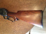 Winchester 1901 10 ga lever - 3 of 15