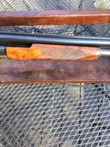 Winchester model 12 12ga set up for trap - 2 of 15