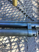 Winchester model 12 12ga set up for trap - 13 of 15