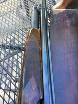 Winchester model 12 12ga set up for trap - 10 of 15