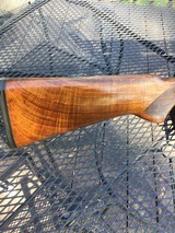 Winchester model 12 12ga set up for trap - 3 of 15