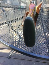 Winchester model 12 12ga set up for trap - 8 of 15